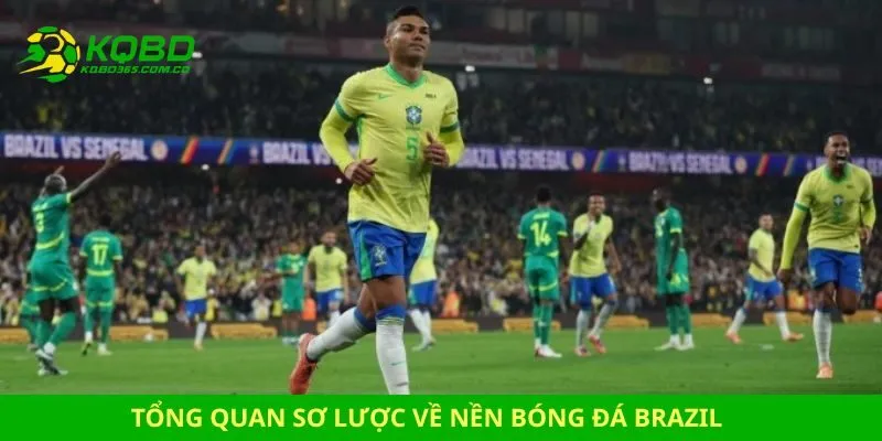 Tổng quan sơ lược về nền bóng đá Brazil