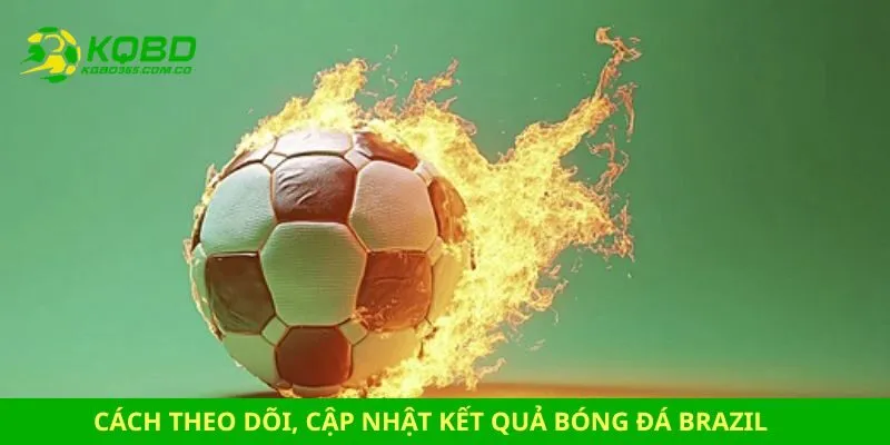 Cách theo dõi, cập nhật kết quả bóng đá Brazil