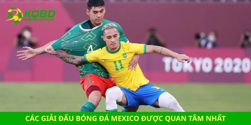 kết quả bóng đá Mexico Các giải đấu bóng đá Mexico được quan tâm nhất