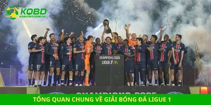 Tổng quan chung về giải bóng đá Ligue 1