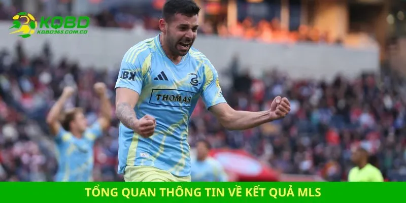 Tổng quan thông tin về kết quả MLS