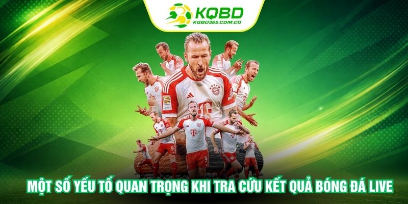 Một số yếu tố quan trọng khi tra cứu kết quả bóng đá live